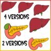 The Human Body | Digestive System Clip Art | Liver, Stomach, Intestines - Image 3