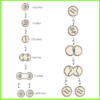 MITOSIS CLIP ART - Image 4