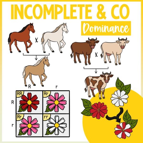 Genetics and Heredity | Incomplete Dominance and Codominance Clip Art